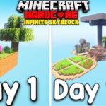 I Survived 100 Days Of Skyblock Infinite In Minecraft Hardcore!