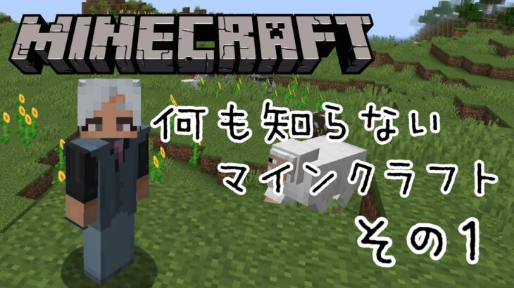 【MINECRAFT】30代引きニート、家を追い出される【#初見プレイ】