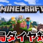 【もし４】マイクラMODをするつもりでしたが、つもりで終わりそうです。【マインクラフト】