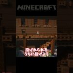 【MOD紹介】マイクラで枕投げしてみた 【マインクラフト】#shorts #minecraft #マイクラmod