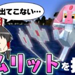 【Minecraft】【ポケふた紀行 #31】エムリットを探していたら、いろんな奇跡が起こった！？【マイクラ】【ゆっくり実況】