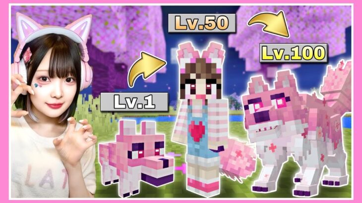 『伝説のオオカミ』を目指すマインクラフト🐺⚡【マイクラ / Minecraft】【たまちゃん】