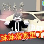 Minecraft：《妹妹落家了》【方块轩】