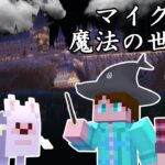 マイクラで魔法の世界にレッツゴー【Minecraft】