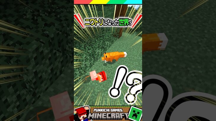 ニワトリになって生きる世界！ #マイクラ #マインクラフト #Minecraft #まいくら #クイズ #ゲーム #Shorts