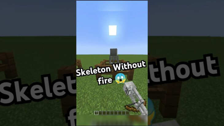 Minecraft Skeleton Logic (はいよろこんで) #minecraft #shorts #viral