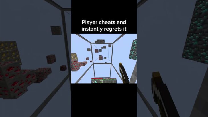 Minecraft Xray Moment