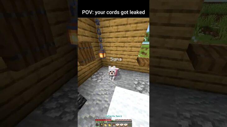 Minecraft meme