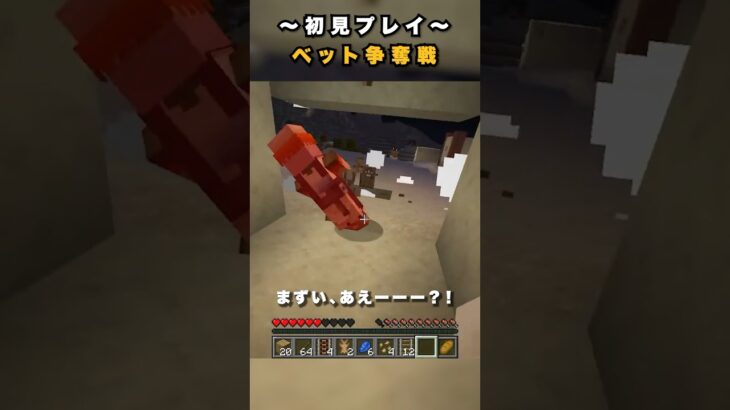 【マイクラ】初見プレイ / ベット争奪戦【Minecraft】 #shorts #マイクラ #Minecraft #フジイタ