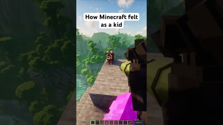 Minecraft with max graphics