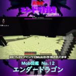 【マイクラ】Mob図鑑 No.12　エンダードラゴン　 from　高難度エンドラ討伐　2024/09/15　#Minecraft　#Shorts