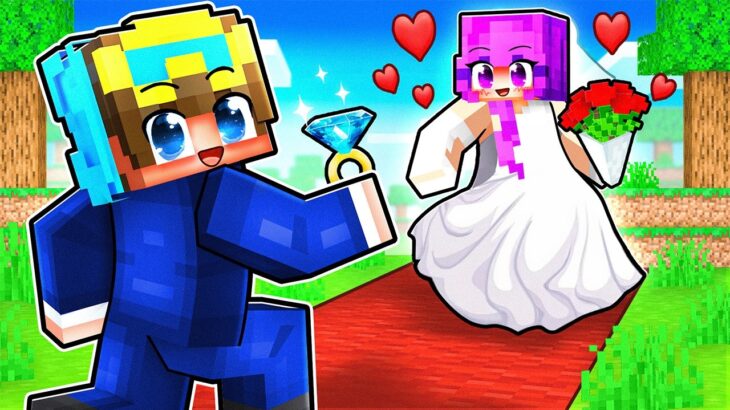 Nico MARRIED His CRUSH In Minecraft!