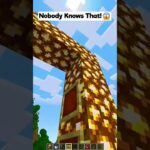 Nobody Knows That! (はいよろこんで) #shorts #minecraft