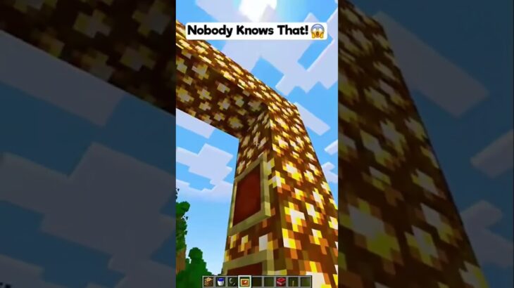 Nobody Knows That! (はいよろこんで) #shorts #minecraft