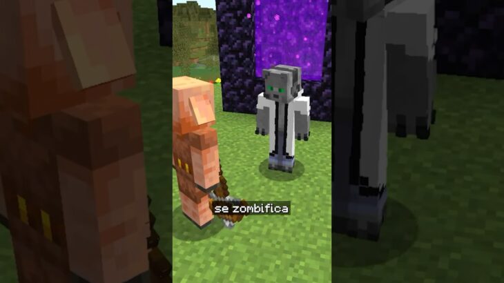 ¿PIGLINS no se ZOMBIFICAN en la PELÍCULA #minecraft ?