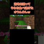 【ぷてこのマイクラPart03-①】タネを食べ過ぎたオウムさん  #Shorts #マイクラサバイバル #マイクラ #マインクラフト