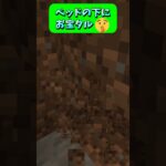 マジでバレないお宝チェスト(タル)🤫 #Shorts #マイクラ #マイクラ建築 #マインクラフト