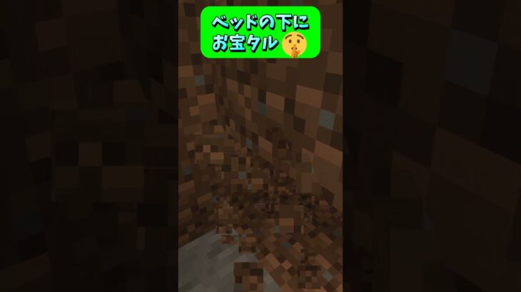 マジでバレないお宝チェスト(タル)🤫 #Shorts #マイクラ #マイクラ建築 #マインクラフト