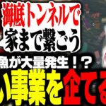 珍しい魚で新規事業を企む３人【VCRマイクラ/柊ツルギ】