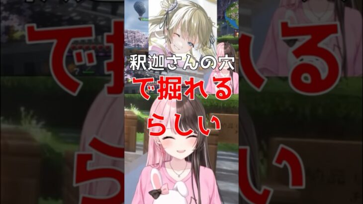 【VCRマイクラ】”釈迦さんの穴”発言に笑いが止まらない橘ひなの【橘ひなの/切り抜き/ぶいすぽ】