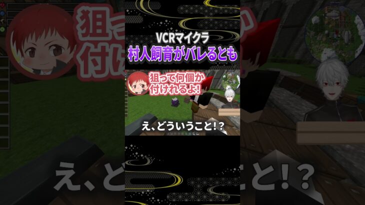 【VCRマイクラ】エンチャントのために村人を飼育していることがバレる赤髪のとも【葛葉】#葛葉 #切り抜き #赤髪のとも #vcrマイクラ