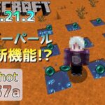 【マイクラ情報】Ver1.21.2 エンダーパールにtickingarea機能搭載!? Java版マインクラフト・スナップショット 24w37a 今後のアップデート情報