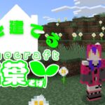 【#新人Vtuber 】夜のマインクラフター家を建てる【#マインクラフト/ #Minecraft 】