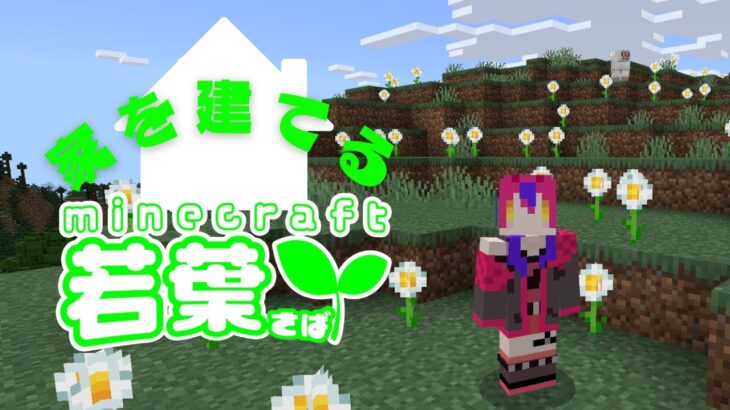 【#新人Vtuber 】夜のマインクラフター家を建てる【#マインクラフト/ #Minecraft 】