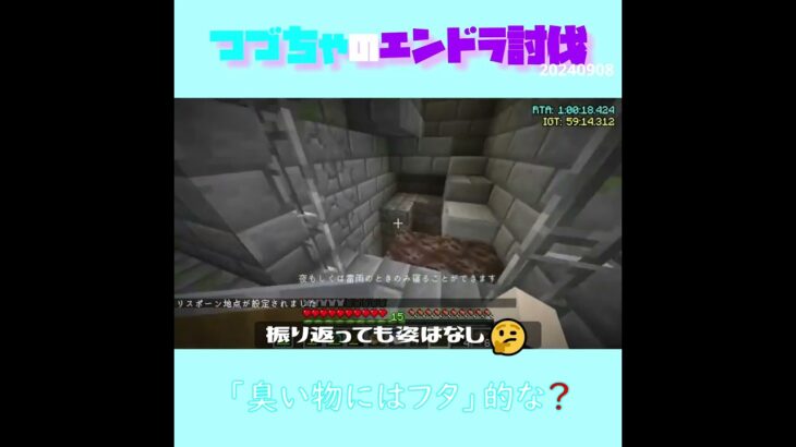 【マイクラ】「臭い物にはフタ」的な？　 fromつづちゃのエンドラ討伐！2024/09/08　#Minecraft　#Shorts