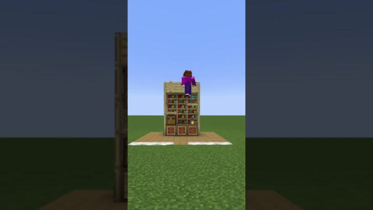 【マイクラ】シンプルに飾れてお洒落に見える本棚を建築してみたい#minecraft #shorts