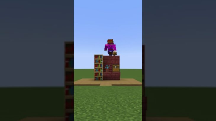 【マイクラ】シンプルに飾れてお洒落に見える本棚を建築してみたい#minecraft #shorts