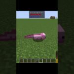 黒いブロックを見分ける方法⁉【マインクラフトmod紹介】