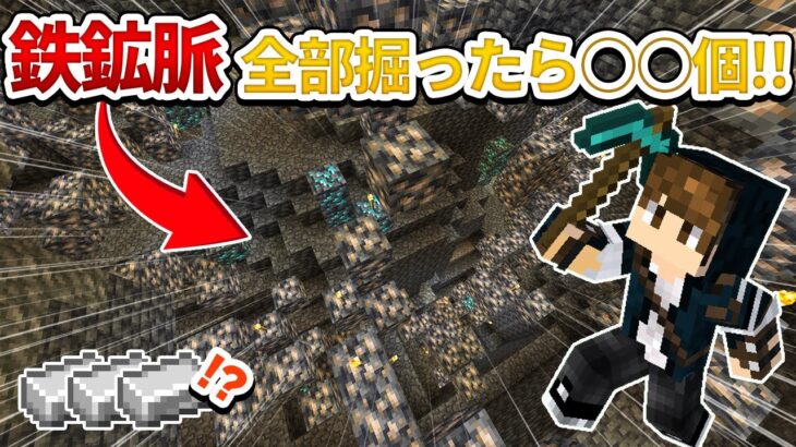 【マイクラ実況】過去最大！鉄鉱脈がヤバイ！【マイクラ統合版】 part11