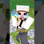 肝試し #shorts #マイクラ