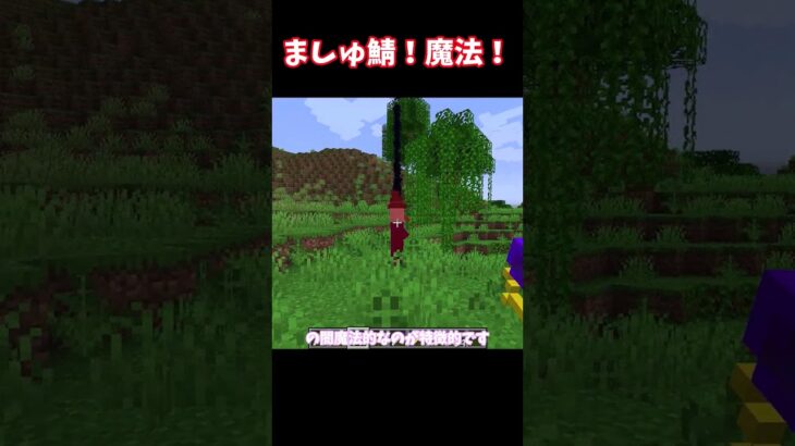 【ゆっくり実況】 ましゅ鯖！魔法！#マイクラ #shorts
