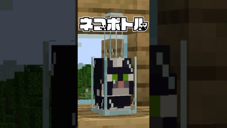 猫は液体なのでボトルに詰めてみた【マイクラ】#shorts #マイクラ #自作mod