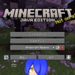 【マインクラフト】　sinコラボ配信村 #24 ついに家づくり進行だ！