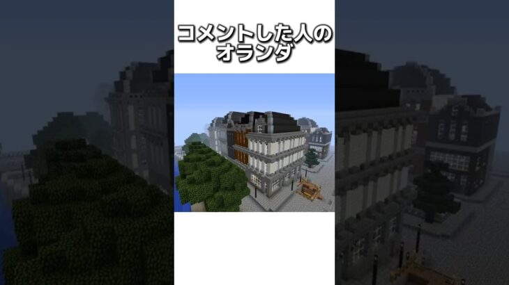 〇〇した人のオランダ #マイクラ #マインクラフトswitch #マインクラフト#minecraft #まいくら #スイッチ