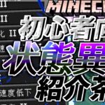 【マイクラ コマンド】茶番劇で解説！初心者向け！switchも共通！あらゆる状態異常を紹介してみた！/effectコマンド