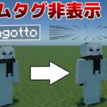 【最新版対応】【マイクラ統合版】/tagコマンドでネームタグを非表示にする方法！！【NoNameTagAddon】【ScriptAPI】