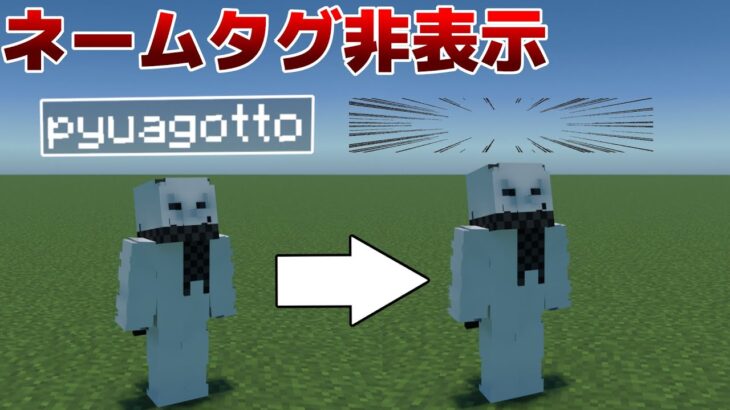 【最新版対応】【マイクラ統合版】/tagコマンドでネームタグを非表示にする方法！！【NoNameTagAddon】【ScriptAPI】