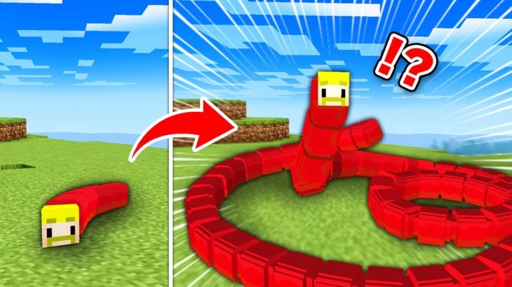 伸びるミミズになってエンドラ討伐【マイクラ】