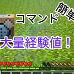 『マイクラ』コマンドで簡単に出来る経験値を大量にゲットするコマンドのやり方