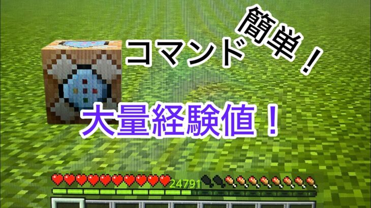 『マイクラ』コマンドで簡単に出来る経験値を大量にゲットするコマンドのやり方