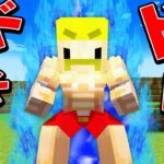 最強の力を手に入れてエンドラ討伐した結果！？【マイクラ】