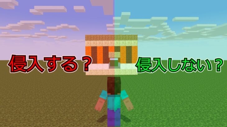 【マイクラアニメ】もし家がほぼない場所に家があったら侵入するのか