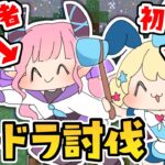 【 マイクラ 】初めてのエンドラ討伐！パート２【魔法少女アルト/アルトの魔法通信 / ピッピは幼馴染】