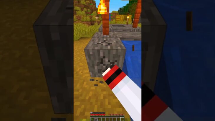 『ん』がつくアイテムとっちゃダメ #マイクラ #マインクラフト