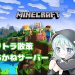 人ん家のエンドへ【マインクラフト】