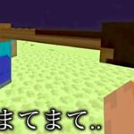 【マイクラ】遊び方が絶対間違ってるマインクラフト.. 　～新たに始まった物語がイカれ過ぎて脳が無くなる～【まいくら】【狂クラ】【小ネタ】